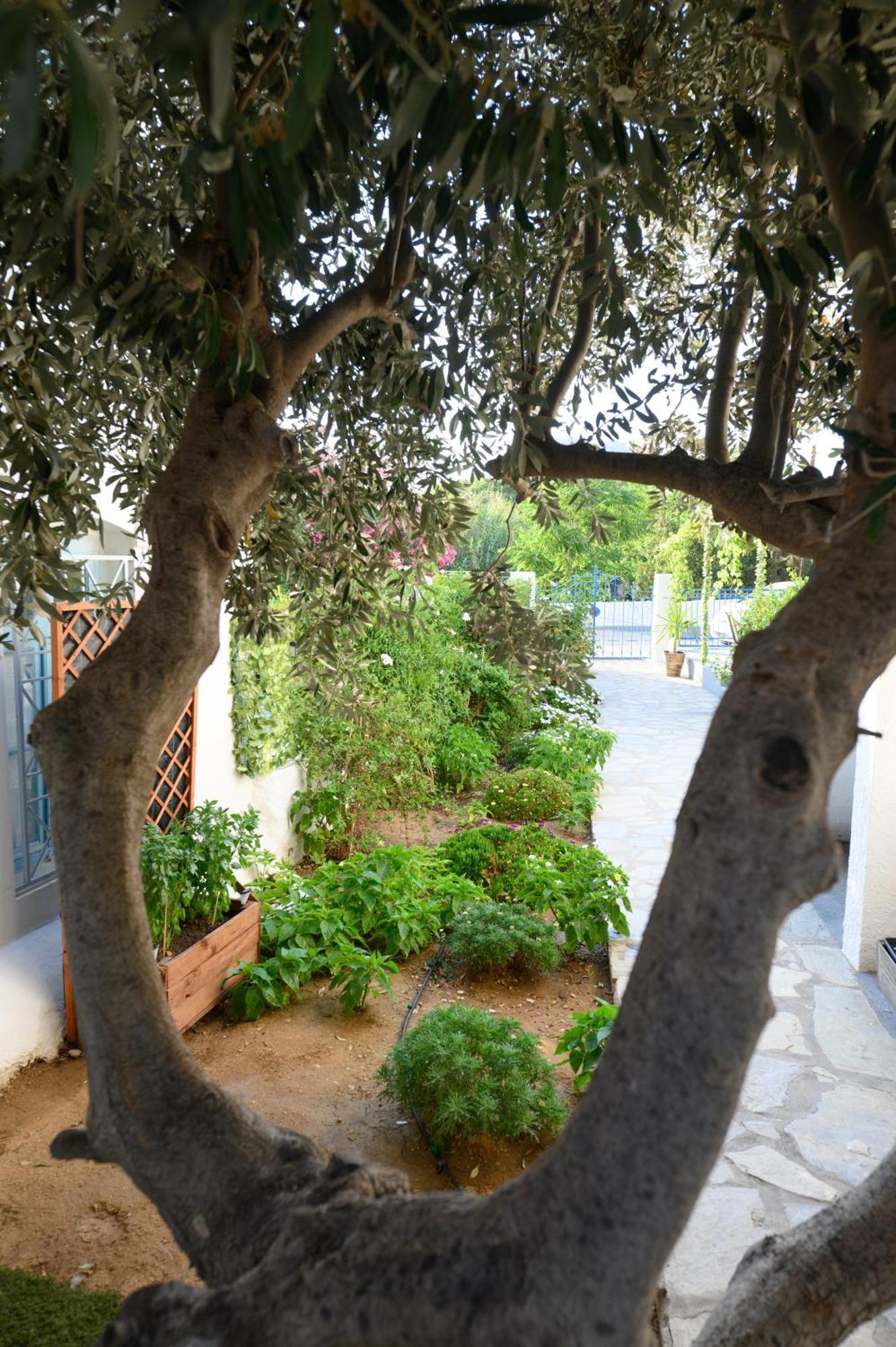 Verano Apartments Panormos  ภายนอก รูปภาพ